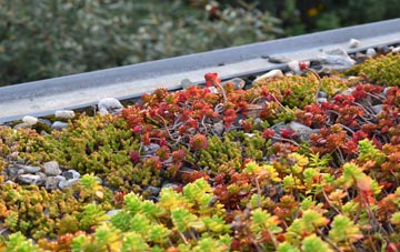 the cost of Brampton Park green roof installation