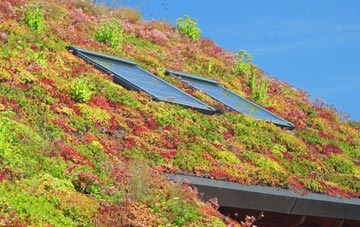 Brampton Park living roof systems