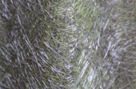 Brampton Park fibreglass roof work